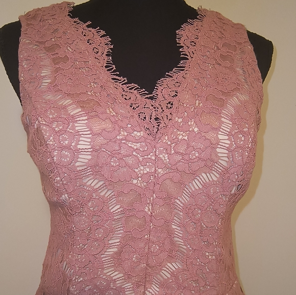 Francesca's V-Neck Low Back Dusty Rose Pink Lace Tulle Dress Size Small - Picture 6 of 16